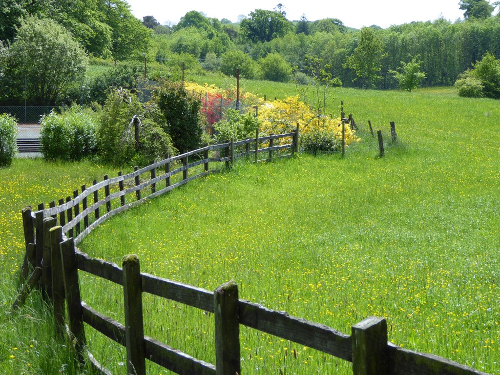 P1000995
