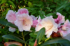 P1000972