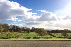 toward cuil