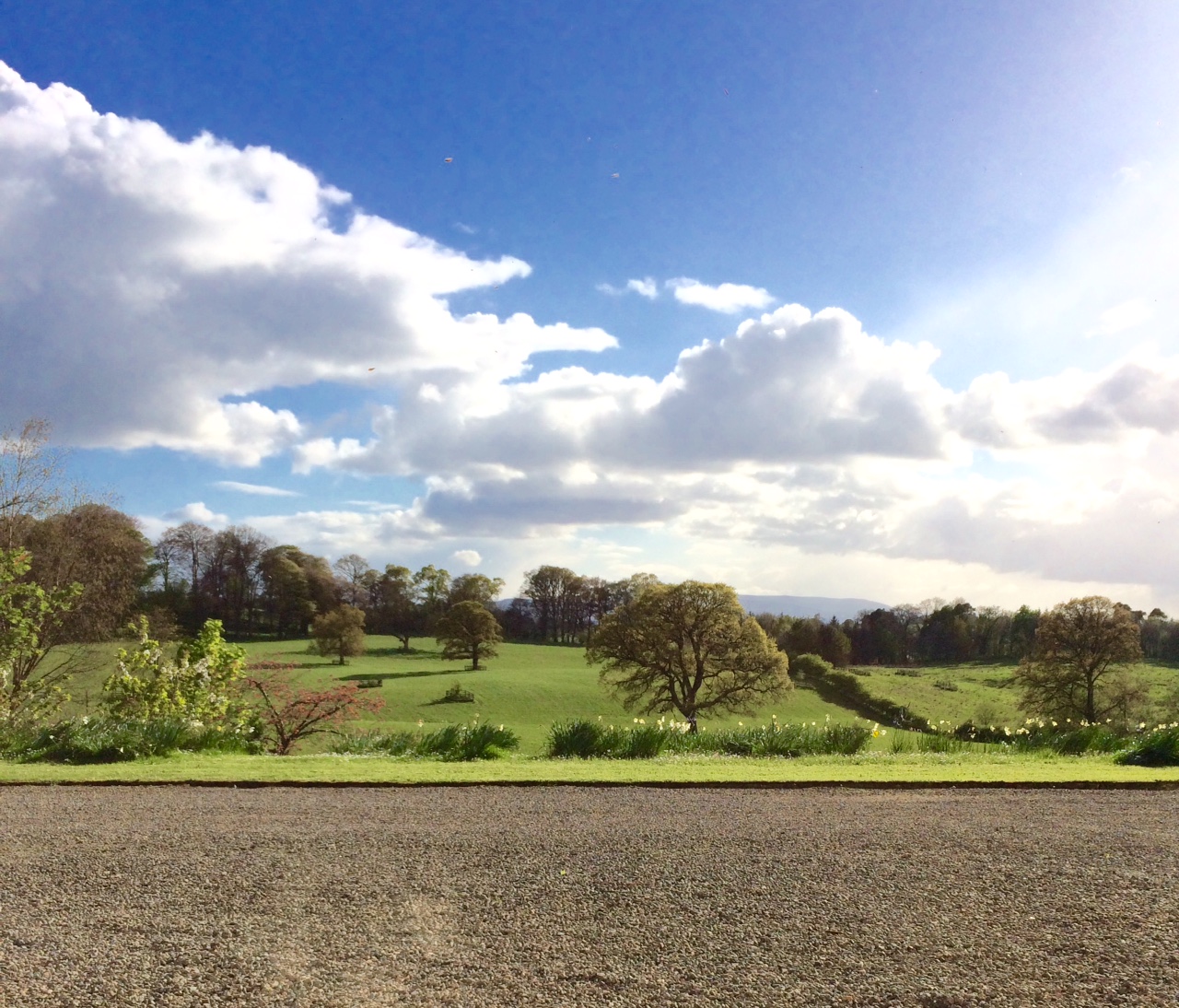 toward cuil